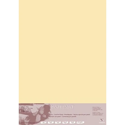 Afbeelding van Clairefontaine 296023C Pastelmat papier, 5 vellen, speciale kaart voor droge pastels, 70 x 100 cm, 360 g, maïs
