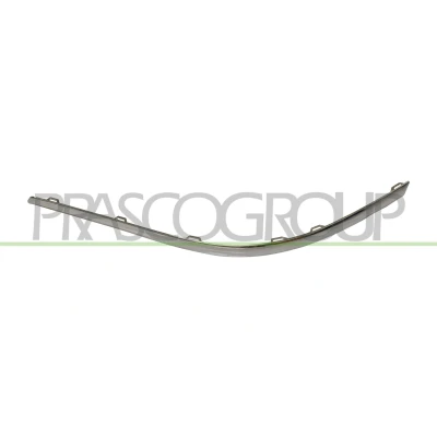 Afbeelding van Sier / beschermingspaneel, bumper PRASCO VG0551264