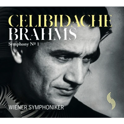 Afbeelding van Wiener Symphoniker, Sergiu Celibidache Symphony No.1 (CD)