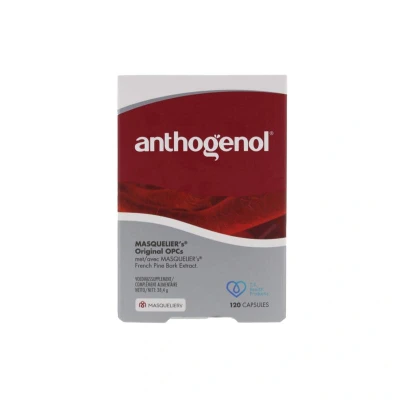 Afbeelding van Masqueliers Anthogenol, 120 capsules