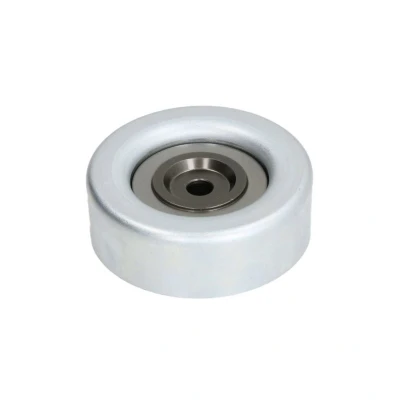 Afbeelding van Geleide rol/omdraairol, Poly V riem DAYCO APV2823