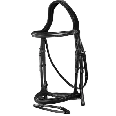 Afbeelding van Dy on Flash Noseband Bridle New English Black Maat Cob