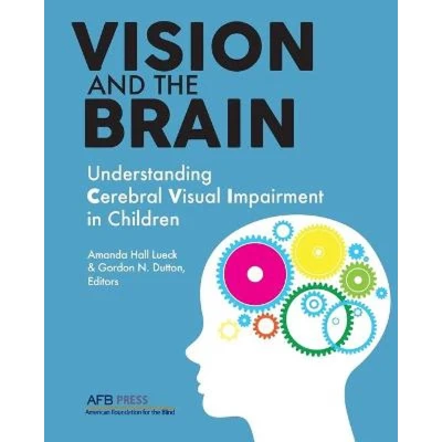 Afbeelding van Vision and the Brain