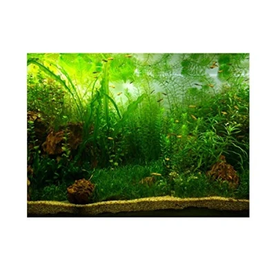 Afbeelding van aquarium achtergrond poster water gras stijl PVC zelfklevende wanddecoraties sticker papier Cling Decals (61 x 30 cm)
