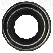 Afbeelding van Reinz Klepsteeldichting 70 52928 00