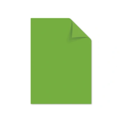 Afbeelding van Papier Kangaro A4 160grs helgroen pak 50 vel per 5