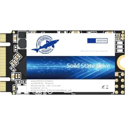 Afbeelding van Dogfish SSD M.2 2242 250GB Ngff Desktop Computers inside Actuator Solid High Performance (250GB, 2242)