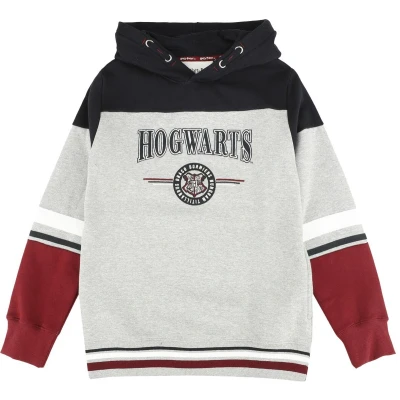 Afbeelding van Harry Potter Kids Hogwarts England Made Trui met capuchon meerkleurig 164