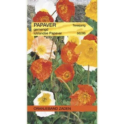 Afbeelding van Papaver, IJslandse Klaproos gemengd