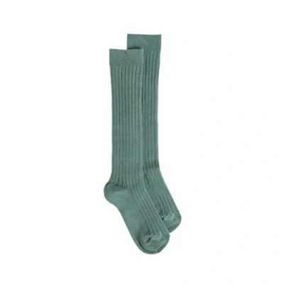 Afbeelding van Cóndor Kniekous Rib Basic 2016/2 Linen 12 24 mnd maat 2