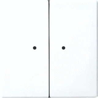 Afbeelding van Abb busch jaeger waveline wandzender 2 kanaals 3v ip 20 55x55x18mm hxbxd alpinwit 2cka006730a0093