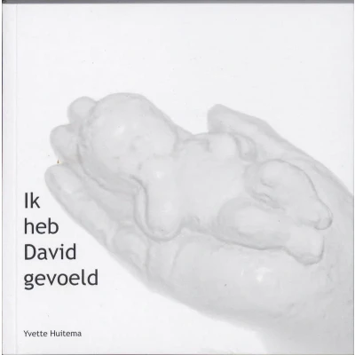 Afbeelding van Ik heb David gevoeld (Paperback)