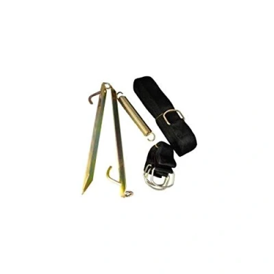 Afbeelding van Haba Tentsafe XL Stormband Set