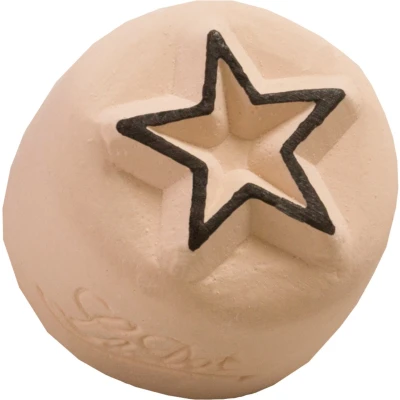 Afbeelding van LaDot Tattoo Stempel Steen S67 Small Ster Nep Black Kinderen en Volwassenen