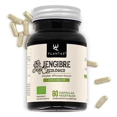 Afbeelding van Ecologische gember * Plantae 60 plantaardige capsules 1,5% in gingerolen en sogaolen spijsvertering + immuunsysteem cardiovasculaire gezondheid duizeligheid