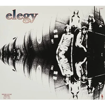 Afbeelding van Elegy (CD)
