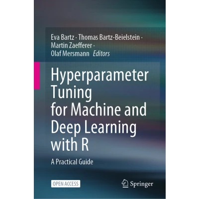Afbeelding van Hyperparameter Tuning for Machine and Deep Learning with R: A Practical Guide