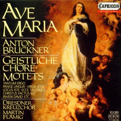 Afbeelding van Dresdner Kreuzchor Bruckner: Geistliche Chore Und Mote (CD)