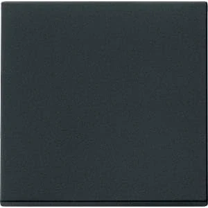 Afbeelding van GIRA Systeem 55 Bedieningswip met lens Mat Zwart 3290005 (nieuw model)