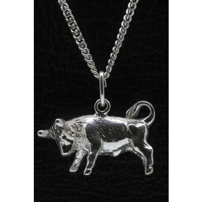 Afbeelding van Zilveren Sterrenbeeld Stier ketting hanger groot