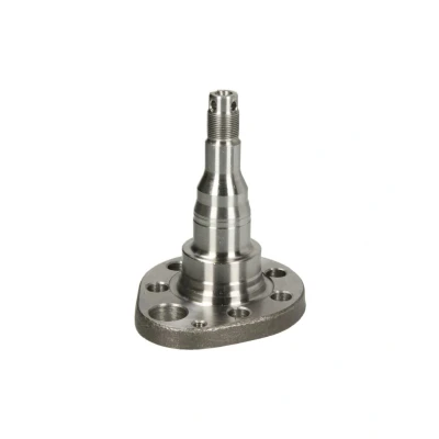 Afbeelding van BTA Astap, wielophanging H5W027BTA