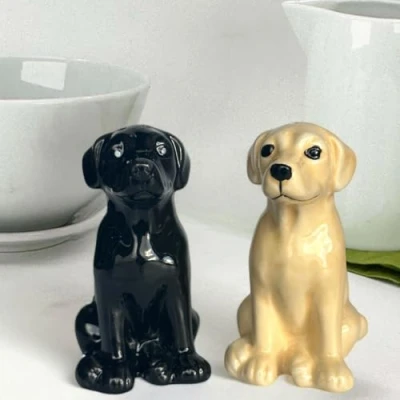 Afbeelding van Nieuwigheid Hond &amp; Boerderij Dierenrassen Keramische Zout Peper shakers Cruet Set Dierenliefhebber Gift, Boxed (Labradors)
