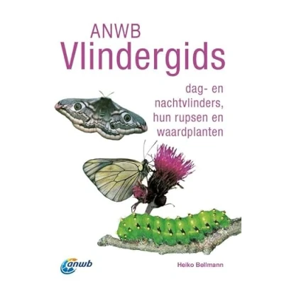 Afbeelding van ANWB Vlindergids (Paperback)