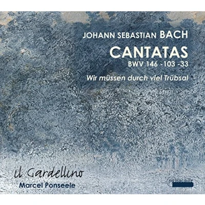 Afbeelding van Dir. Marcel Ponseele Il Gardellino Bach Cantatas Vol 4 (CD)