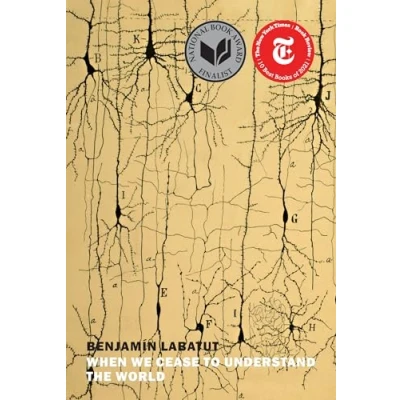 Afbeelding van When We Cease to Understand the World