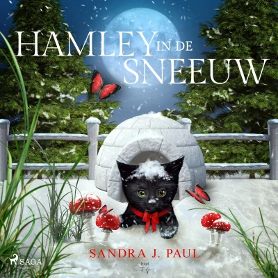 Afbeelding van Hamley in de sneeuw