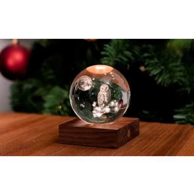 Afbeelding van Amber Crystal Light 3D Laser The Owl Moon