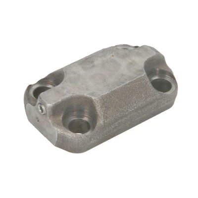Afbeelding van Bosch Cilinderkop F 01M 101 694