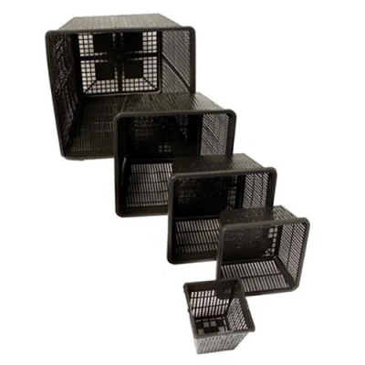 Afbeelding van Superfish Vijvermandje 23 x 13 cm