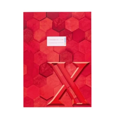 Afbeelding van HERMA 20083 schriftomslag A4 karton rood, veredelde boekomslag met tekstveld van stevig en extra sterk papier, boekhouder zeshoekig patroon, motief voor schoolschriften, gekleurd