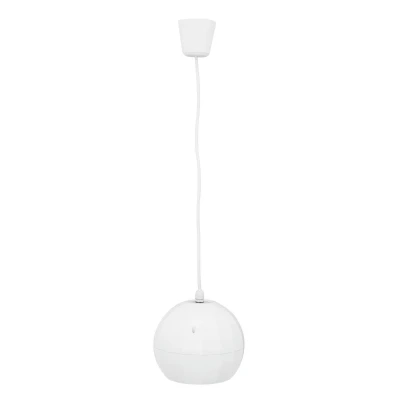 Afbeelding van Omnitronic WP 2H inbouw speaker plafond