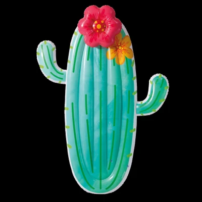 Afbeelding van Intex Drijvende Cactus