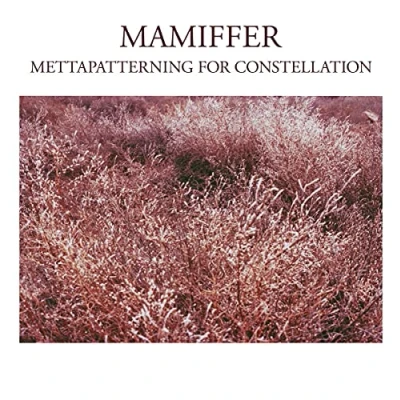 Afbeelding van Mamiffer Mettapatterning For Constellation (LP)