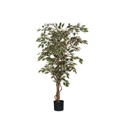 Afbeelding van Mica Decorations ficus hawaii 135x75 groen bont in plastic pot