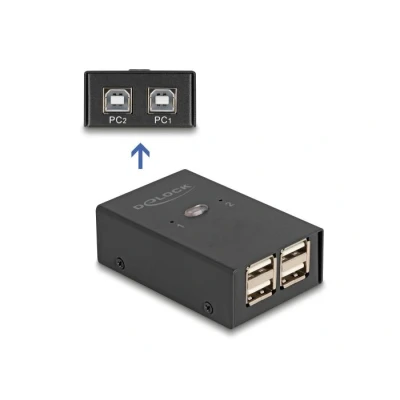 Afbeelding van Delock USB 2.0 Switch für 2 PC an 4 Geräte HQ products