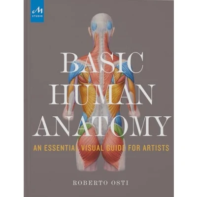Afbeelding van Basic Human Anatomy: An Essential Visual Guide for Artists