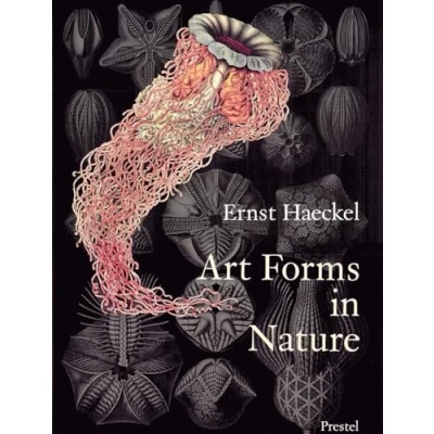 Afbeelding van Art forms in nature: the prints of Ernst Haeckel