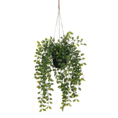 Afbeelding van Mica Decorations kunstplant Ficus
