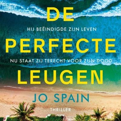 Afbeelding van De perfecte leugen