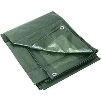 Afbeelding van Labor 21297 Versterkt polyethyleen dekzeil met oogjes, groen, 2 x 3 m