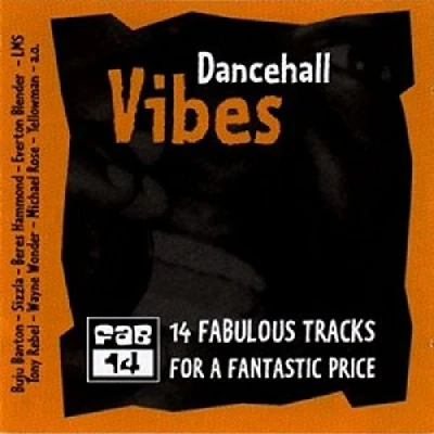 Afbeelding van Various Artists Dancehall Vibes (CD)