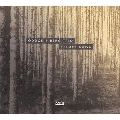 Afbeelding van Oddgeir Berg Trio Before Dawn (CD)