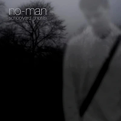 Afbeelding van No Man Schoolyard Ghosts Digi