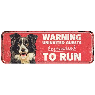 Afbeelding van D&amp;d Home Waakbord Hond Waarschuwingsbord Collie En 40x13x0,3cm Rood 1st