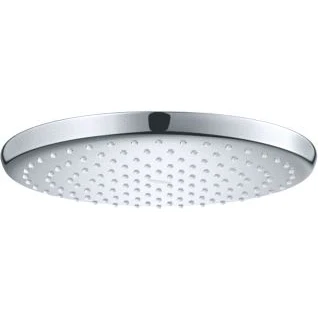 Afbeelding van GROHE Professional Tempesta 250 hoofddouche rond