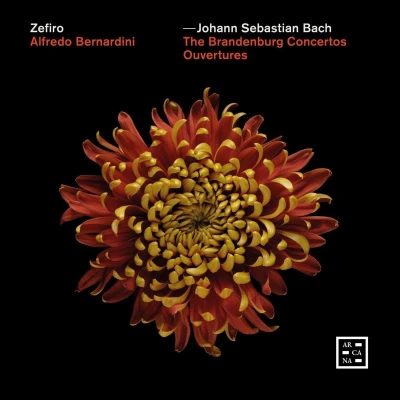Afbeelding van Zefiro, Alfredo Bernardini J.S. Bach: The Brandenburg Concertos Ouvertures (3 CD)